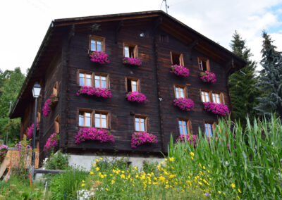 Walliserhaus - Egga Bellwald